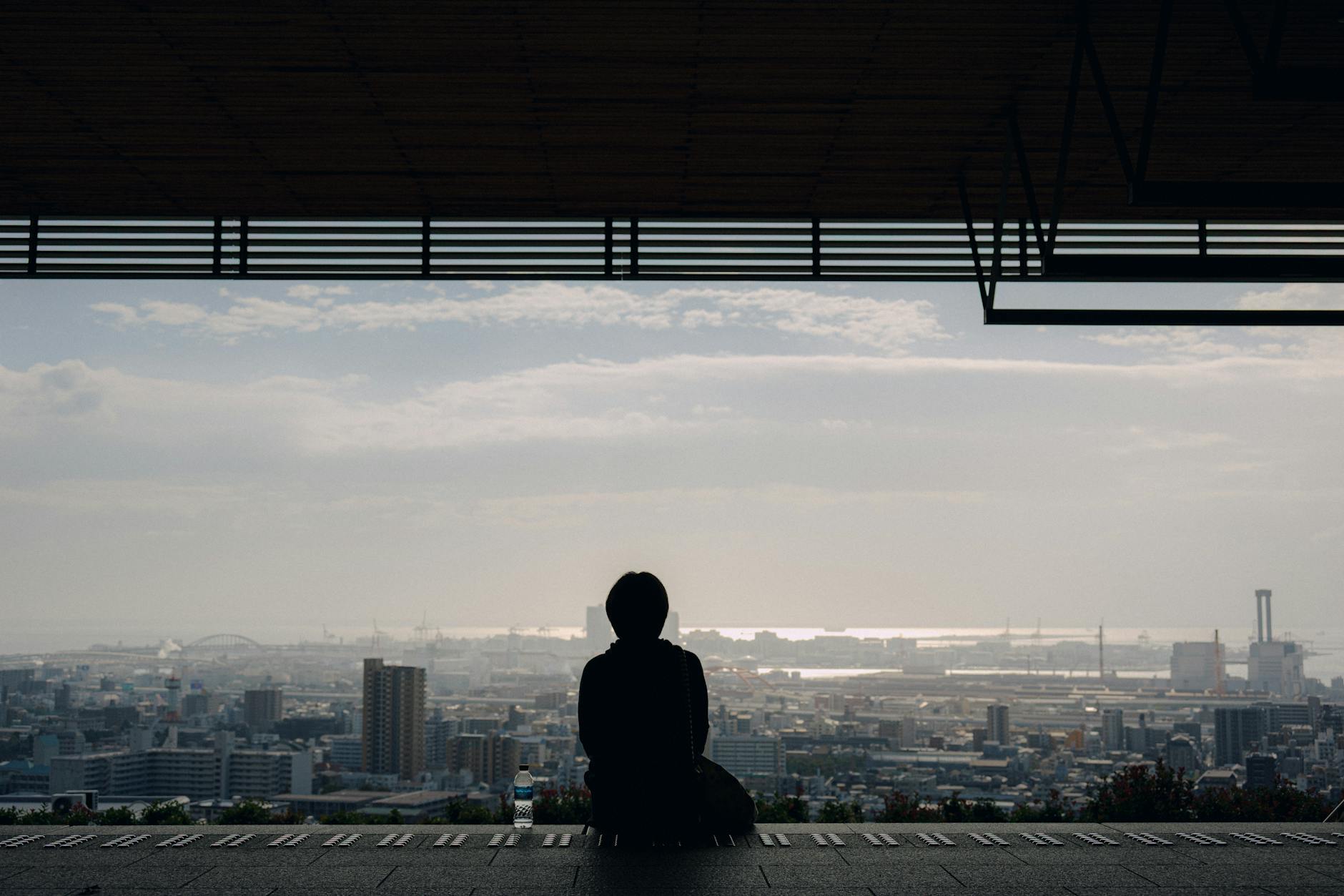 silhouette of person overlooking urban cityscape